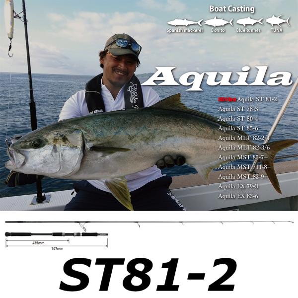 リップルフィッシャー　aquila81 AY813 SWIM ロッド Ripple Fisher（リップルフィッシャー） 送料無料 アクィラ ST 81-2