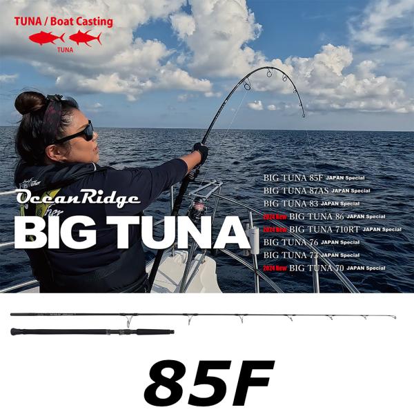 リップルフィッシャー　BIG TUNA 85 JAPAN special RIPPLE FISHER BIG TUNA 85 Japan Special - Monster-Bite.com