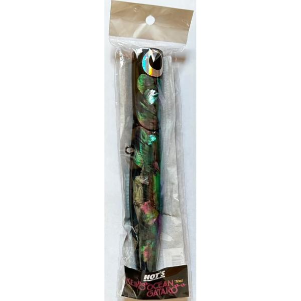 HOT'S（ホッツ） 送料無料 ケイコオーシャン ガタロ 南洋貝 200mm