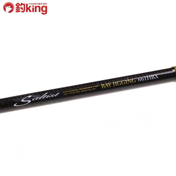 DAIWA（ダイワ） ソルティスト ベイジギング ST-BG 661HBX/L356220