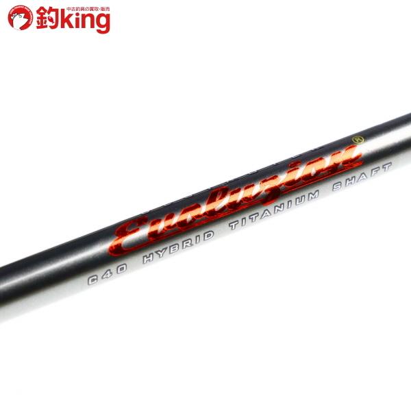 Megabass（メガバス） デストロイヤー エヴォルジオン F0.1／2-63ti-S