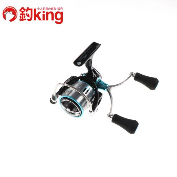 DAIWA（ダイワ） 19 エメラルダスLT 3000S-C-DH /SU038M アオリイカ