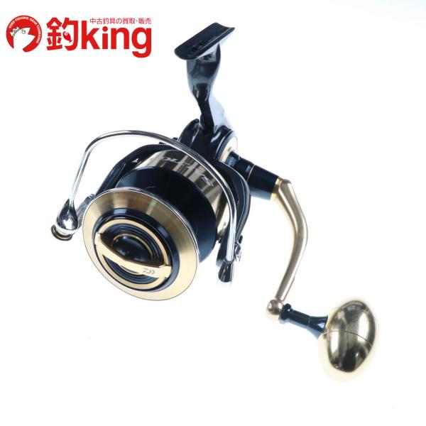 DAIWA（ダイワ） 20 SLPワークス ソルティガ セミオーダー 18000