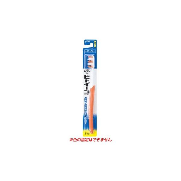 CI@rgC[@M[@ӂ@nuV@(1{)