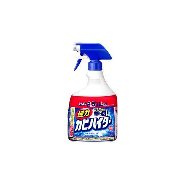 他サイト： 花王　強力カビハイター　ハンディスプレー　特大　本体　(1000mL)　ハイター　(4901301369147)の商品画像
