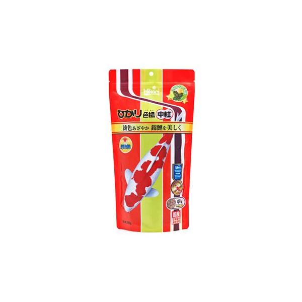 L[@Ђ@Fg@@(300g)@ь@RC@GT