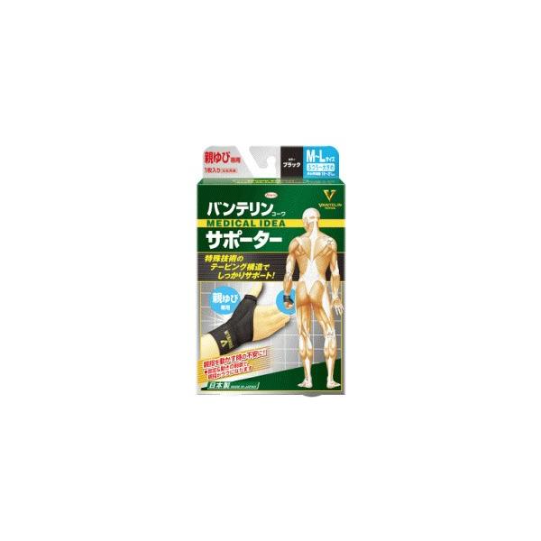 a oeR[ T|[^[ eѐp ӂ`傫 M-LTCY ubN (1)