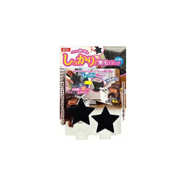 }J SNu WуX|Wp (4) p pi тƂX|W