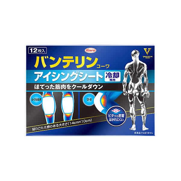 a oeR[ACVOV[g pp (12) g̗ppV[g