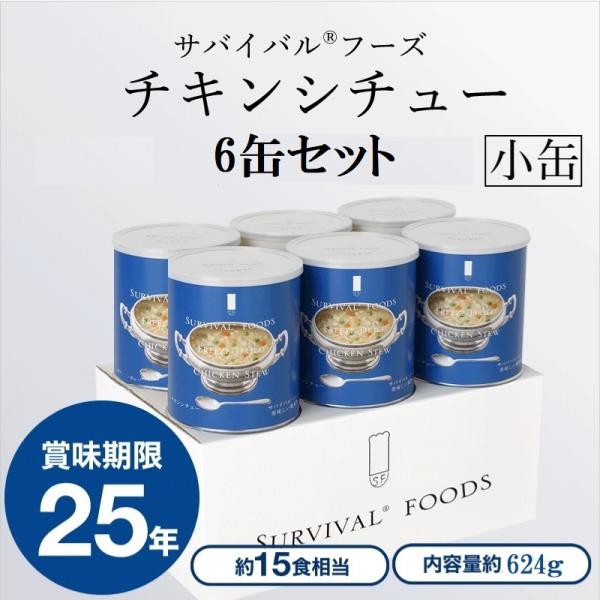 25Nۑ ToCot[Y[]`LV`[x6ʁi1P[Xj