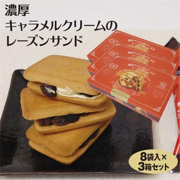 群馬 お土産 濃厚キャラメルのレーズンサンド8個入 3箱セット Jr東日本おみやげグランプリ つるまい本舗 Buyee Buyee 日本の通販商品 オークションの代理入札 代理購入