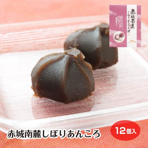 赤城南麓しぼりあんころ お土産