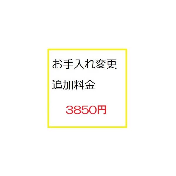 追加料金3850