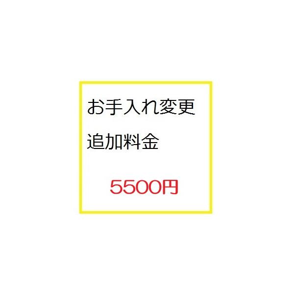 追加料金5500