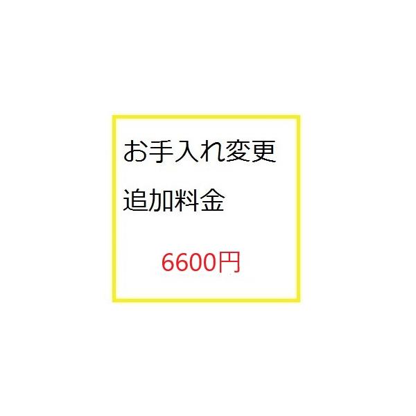 追加料金6600