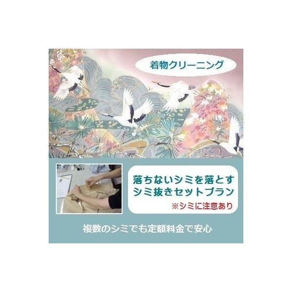 着物クリーニング・複数のシミでも追加料金なし定額　長年人気の一クラス上お手入れ「丸洗い＋シミ抜き」通常袖の袷着物　※シミの詳細は商品情報へ