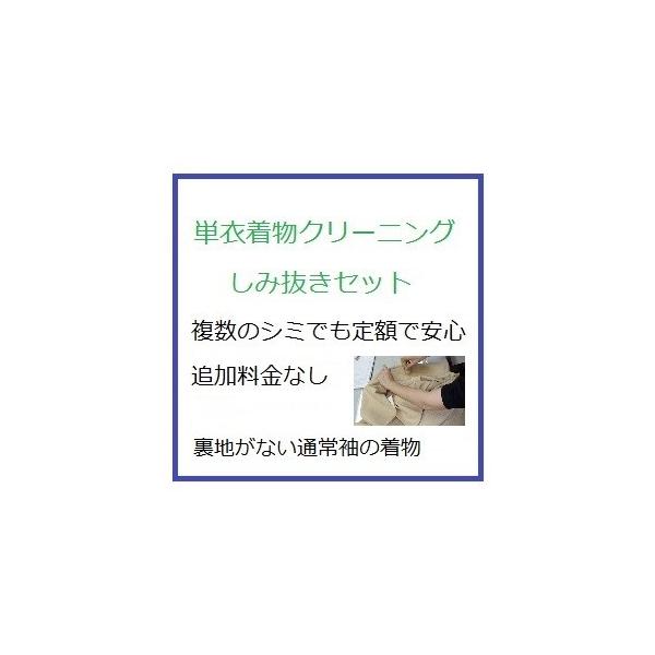 単衣・長年人気の一クラス上お手入れ　複数のシミでも定額「丸洗い＋シミ抜き」汗シミ・食べこぼし　普通袖の裏地がない単衣着物　※シミの詳細は商品情報へ