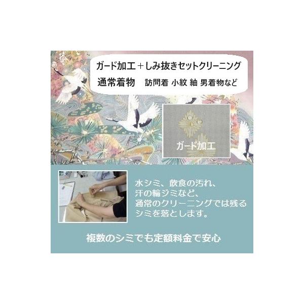 ガード加工＋通常クリーニングで残る、複数のシミがついても追加料金なし定額制の安心プランがセット訪問着・小紋・紬・男着物など通常袖の着物※振袖や留袖などヒヨク付着物は別メニューです。※通常生活において発生した新しいシミを想定していますが、連絡...
