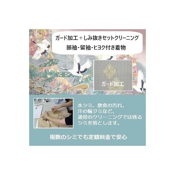 ガード加工＋通常クリーニングで残る、複数のシミがついても追加料金なし定額制の安心プランがセット振袖・留袖・ヒヨク付き着物※通常生活において発生した新しいシミを想定していますが、連絡事項に気になるシミの個所をご記載ください。おまかせコースの料...