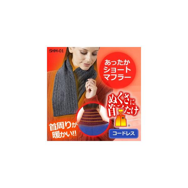 �[�d���q�[�^�[�������������V���[�g�}�t���[�j�����p/�ʂ����Ɏ������/SHM-01/�d�M�l�b�N�E�H�[�}�[