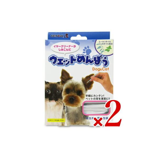 Q_C (GENDAI) 㐻 㐻 EGbg߂ڂ 30{ × 2