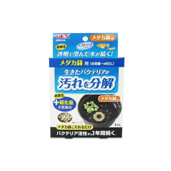 WFbNX GEX xXgoCIubN _Jp