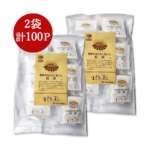 Ha Ђ _g킸ĂgeB[obO 110gi2.2g×50܁j× 2