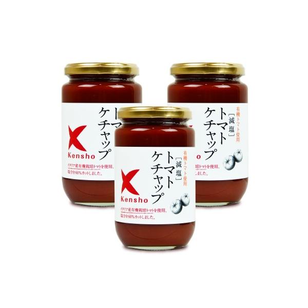 キングソース 減塩 トマトケチャップ 300ml × 6個 ケンシヨー
