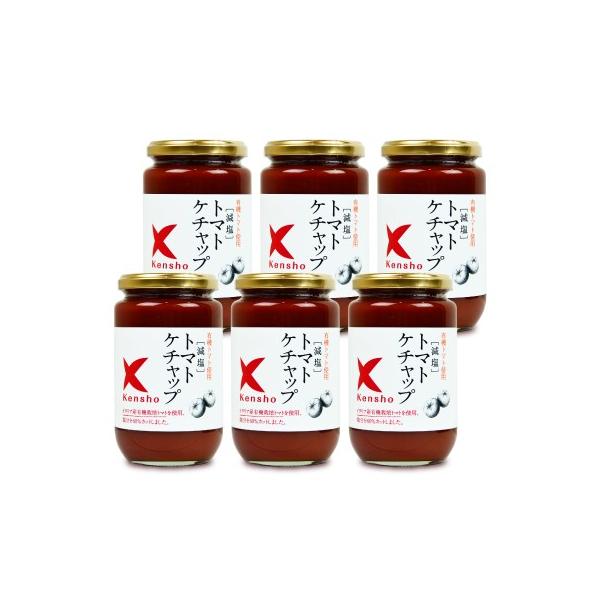 キングソース 減塩 トマトケチャップ 300ml × 6個 ケンシヨー