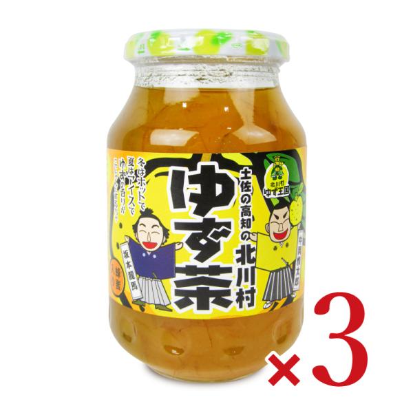 北川村ゆず王国 ゆず茶 570g × 3個 爆買 : にっぽん津々浦々 - 通販