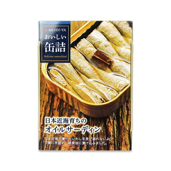  ʋl {ߊC炿̃ICT[fB 105g