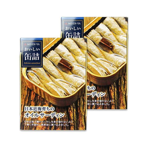  ʋl {ߊC炿̃ICT[fB 105g×2