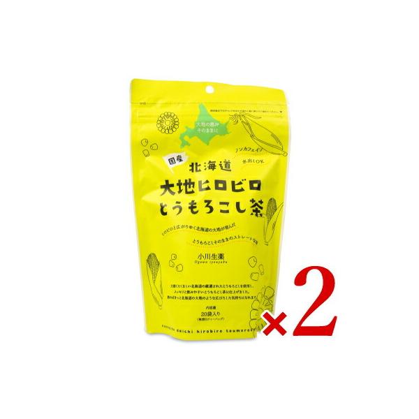 쐶 kC nqrƂ낱 [ 5g×20P ] × 2 eB[obO