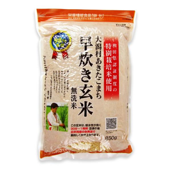 tsutsu-uraura_oogata-gfe850