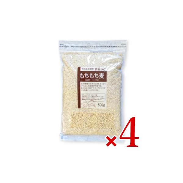 ������ �܂���� ���������� 500g × 4�� ���C�X�A�C�����h