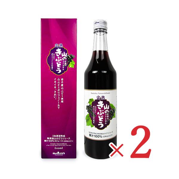 K{X n R̂Ԃǂ ʏ`100%Xg[g 600ml × 2