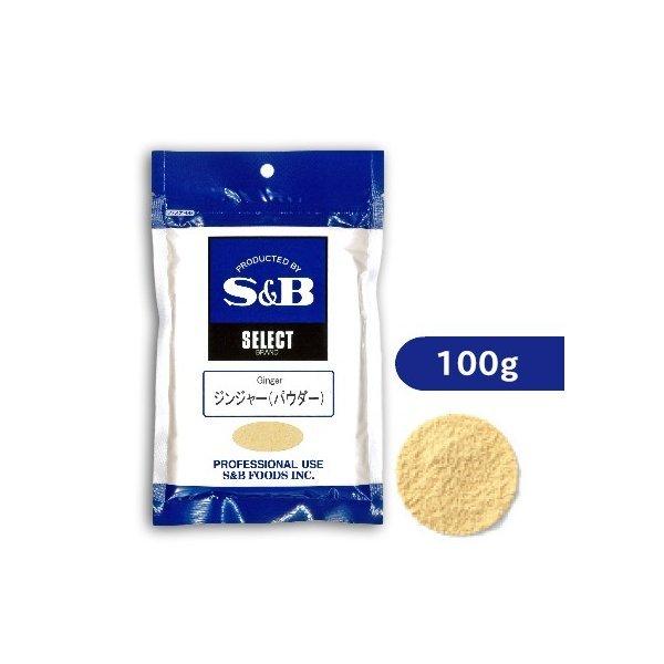 エスビー セレクトスパイス ジンジャー パウダー 100g 袋  エスビー食品　ポイント消化に