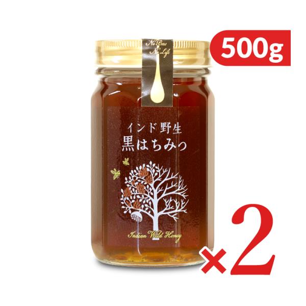 はちみつ 蜂蜜 ハチミツ 野生黒蜂蜜 500g ×2個 爆買 : にっぽん