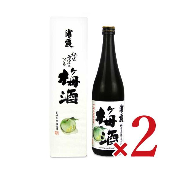 佐浦 純米原酒につけた浦霞の梅酒 720ml × 2本