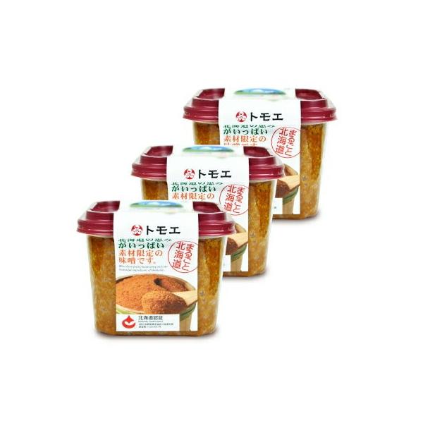 ハナマルキ プッシュパック 塩こうじ 1kg