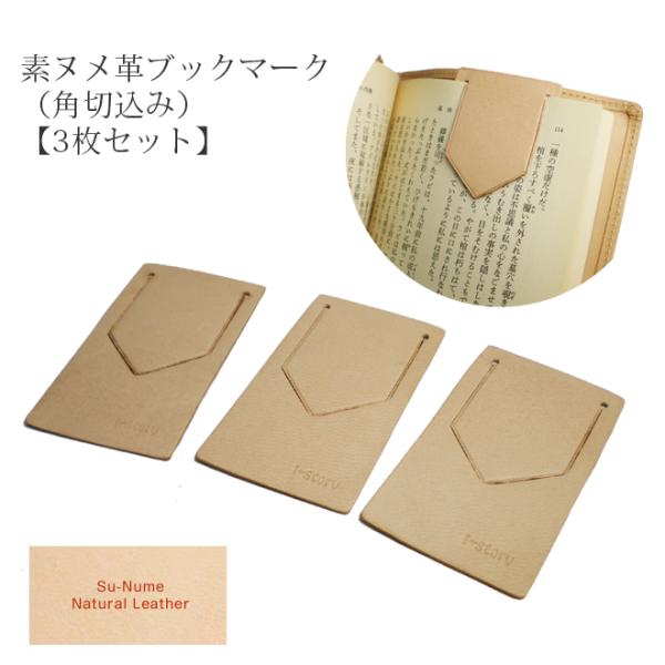 しおり試作品ウィーゼル様連絡用