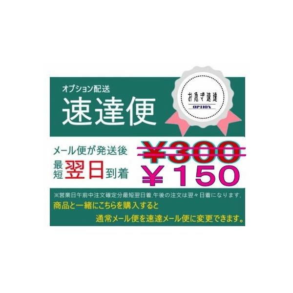 電池 速達発送