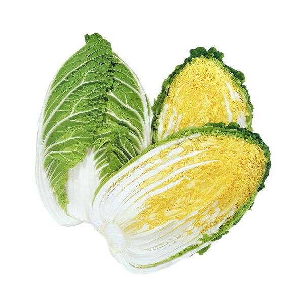 規格：128穴（125本保証）特性：作りやすさ抜群の黄芯中早生種！！1.  は種後、約80日で収穫できる、耐病性に優れた中早生黄芯種です。2. 早まき作型のような高温期栽培でも徒長生育しにくく結球力が安定し、安定した収量性があります。3. ...