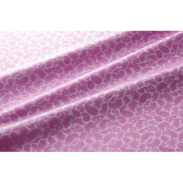  9303 J[20CgsN yY[WK[hn x,Lv100%,ӂܐD