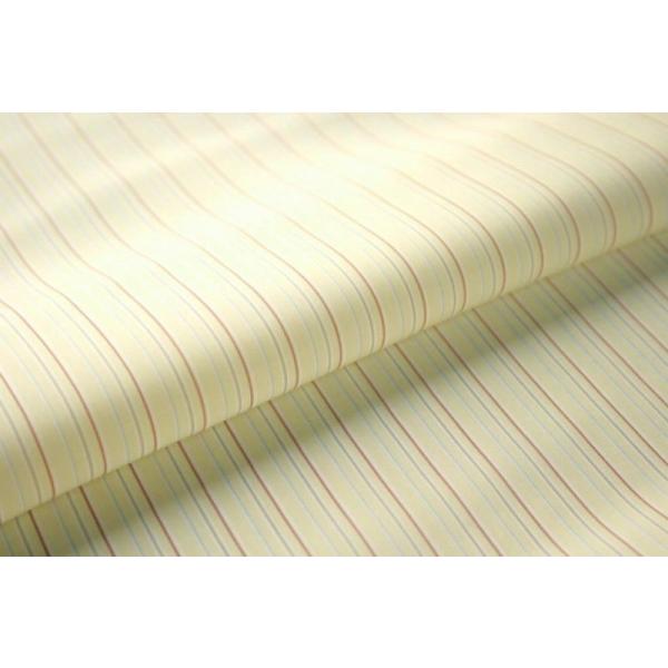 AQUAXgCvn color.3-4 V܃e[[pBX[cnX X[cpn