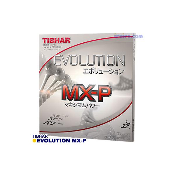 [E15܂ł̂ŒZœ] 싅 o[ TIBHAR(eBo[)  G{[V MX-P