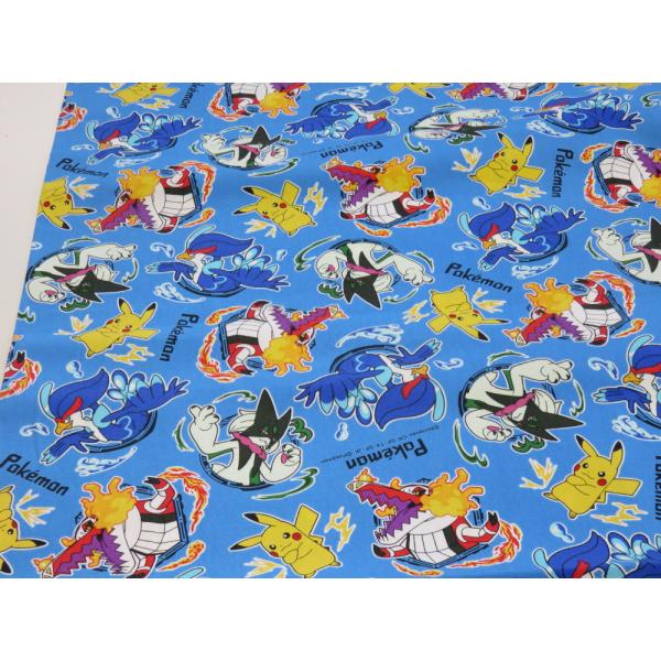 『ポケットモンスター』は任天堂より発売されているゲームソフト『ポケットモンスター』シリーズを原作とするテレビアニメ。しっかりとしたオックス生地は、子ども用バッグやシューズ入れ、スモック、エプロンやポーチなどに。★生地巾　約１０８ｃｍ★素材　...