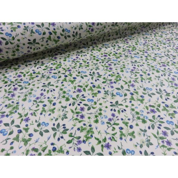 ~l[g ȃx[ u[ cCn@  zn 킢 n  rj[ R[eBO