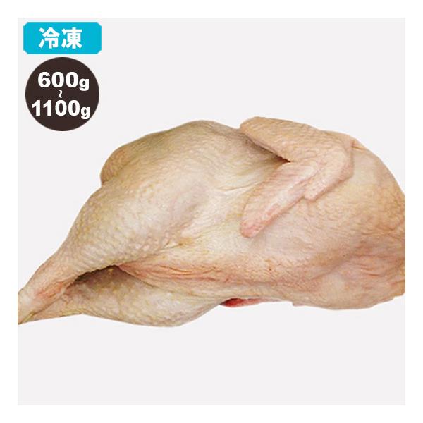 冷凍 廃鶏 ハイケイ 採卵期間を終えた雌鶏 600g 1100g 丸鶏 Buyee Buyee Japanese Proxy Service Buy From Japan Bot Online