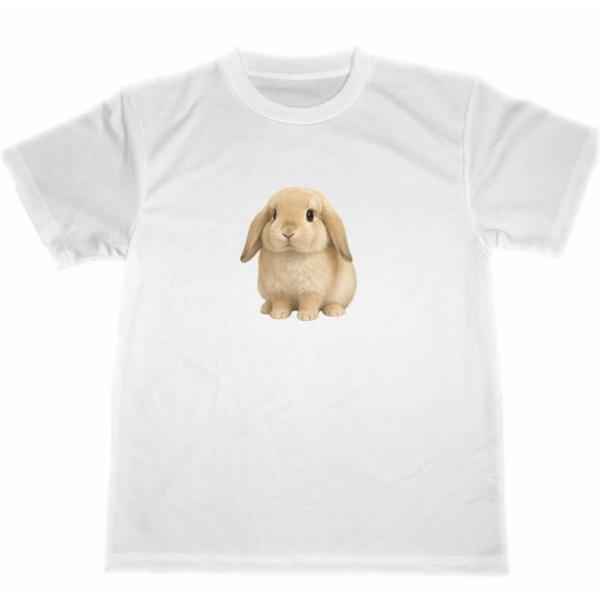 ドライ Tシャツ ロップイヤー ウサギ ホーランドロップ アニマル 